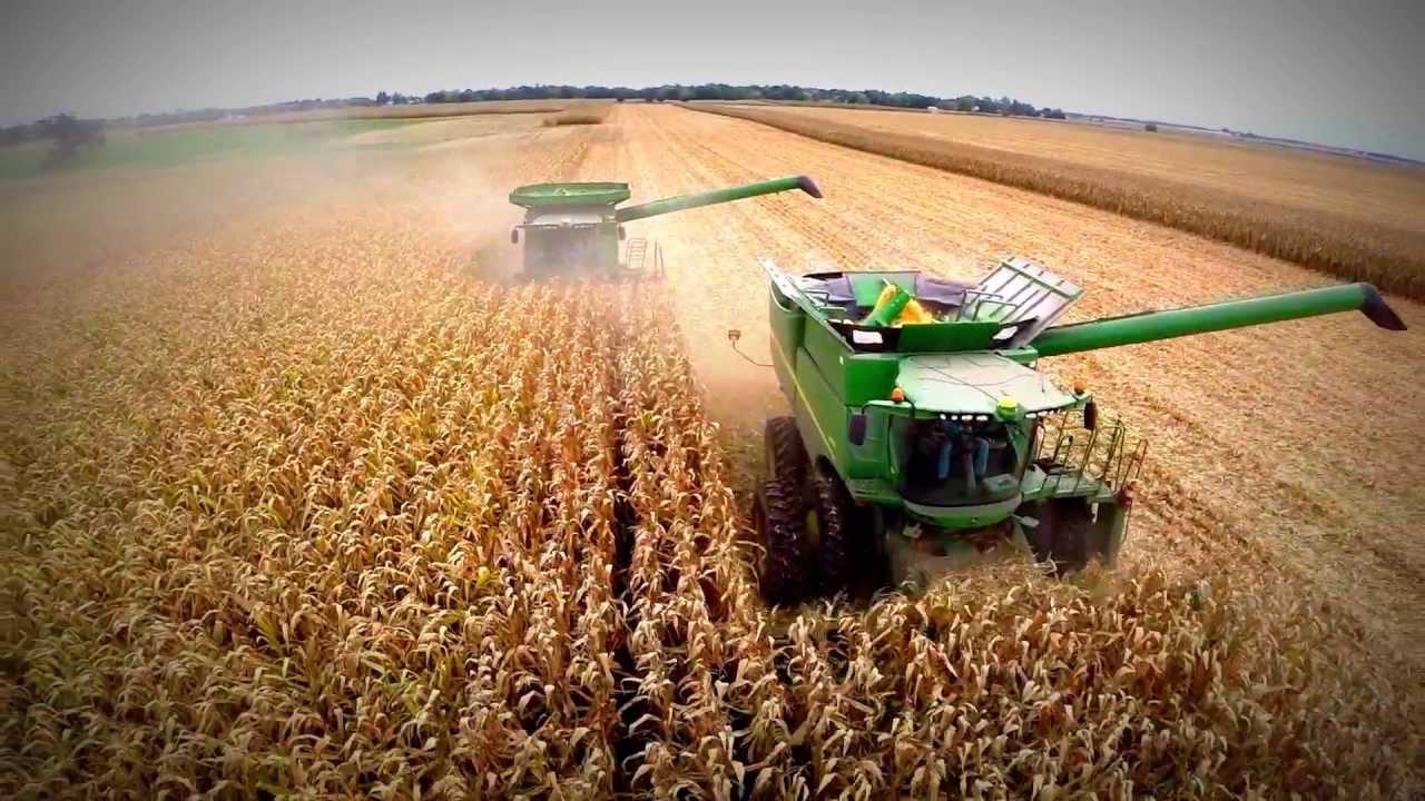 Country records high corn yield