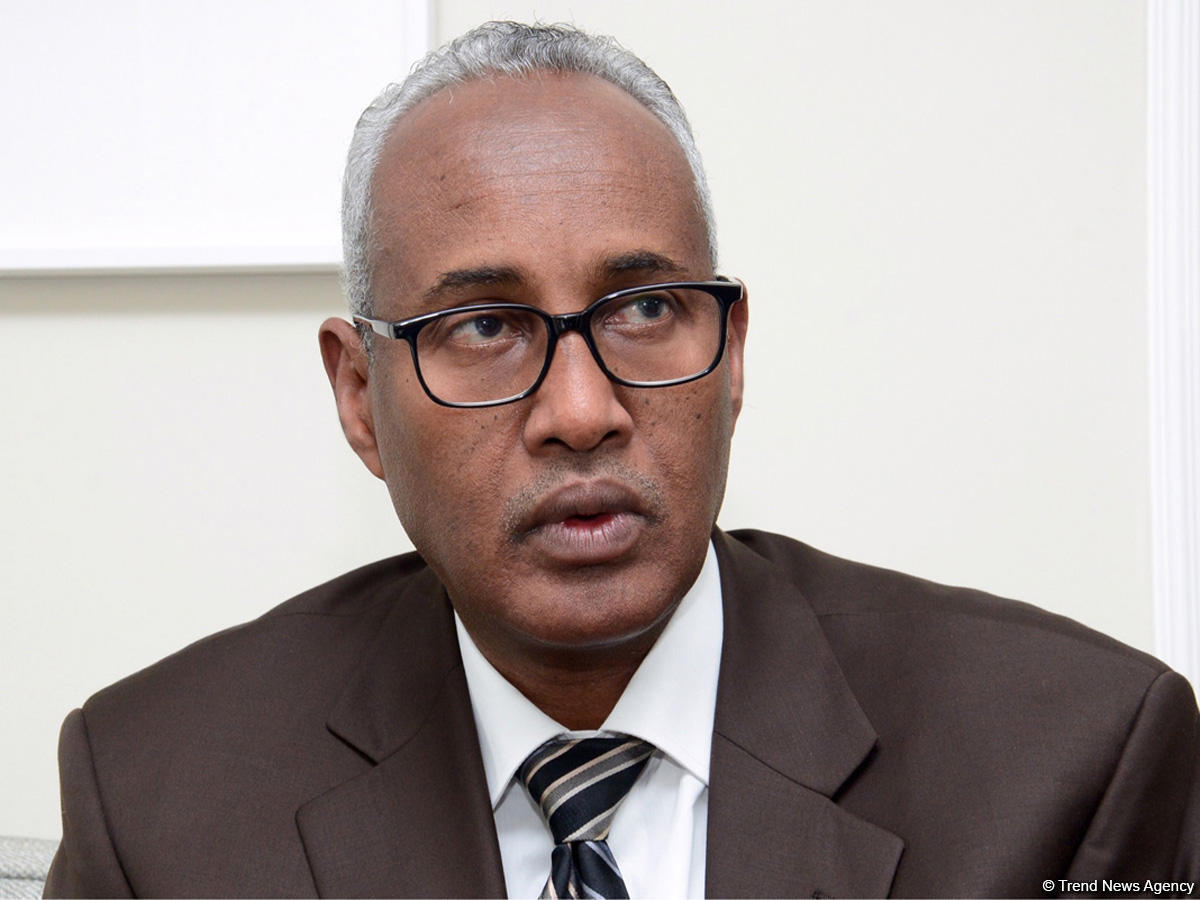 Djibouti DGZ head talks Azerbaijan’s free trade zone (exclusive)