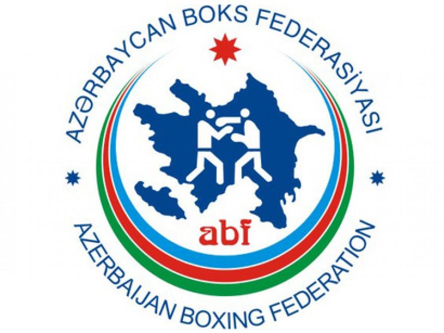 Azerbaijan's Boxing Squad For Baku 2017 Named