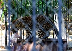 Visit Baku Zoo for wild and exciting experience PHOTO