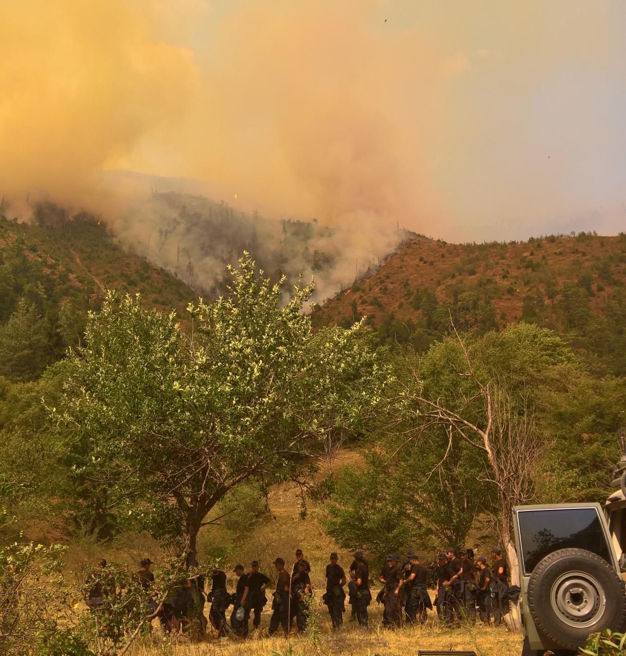 Azerbaijan hugely assists Georgia in fighting forest fires