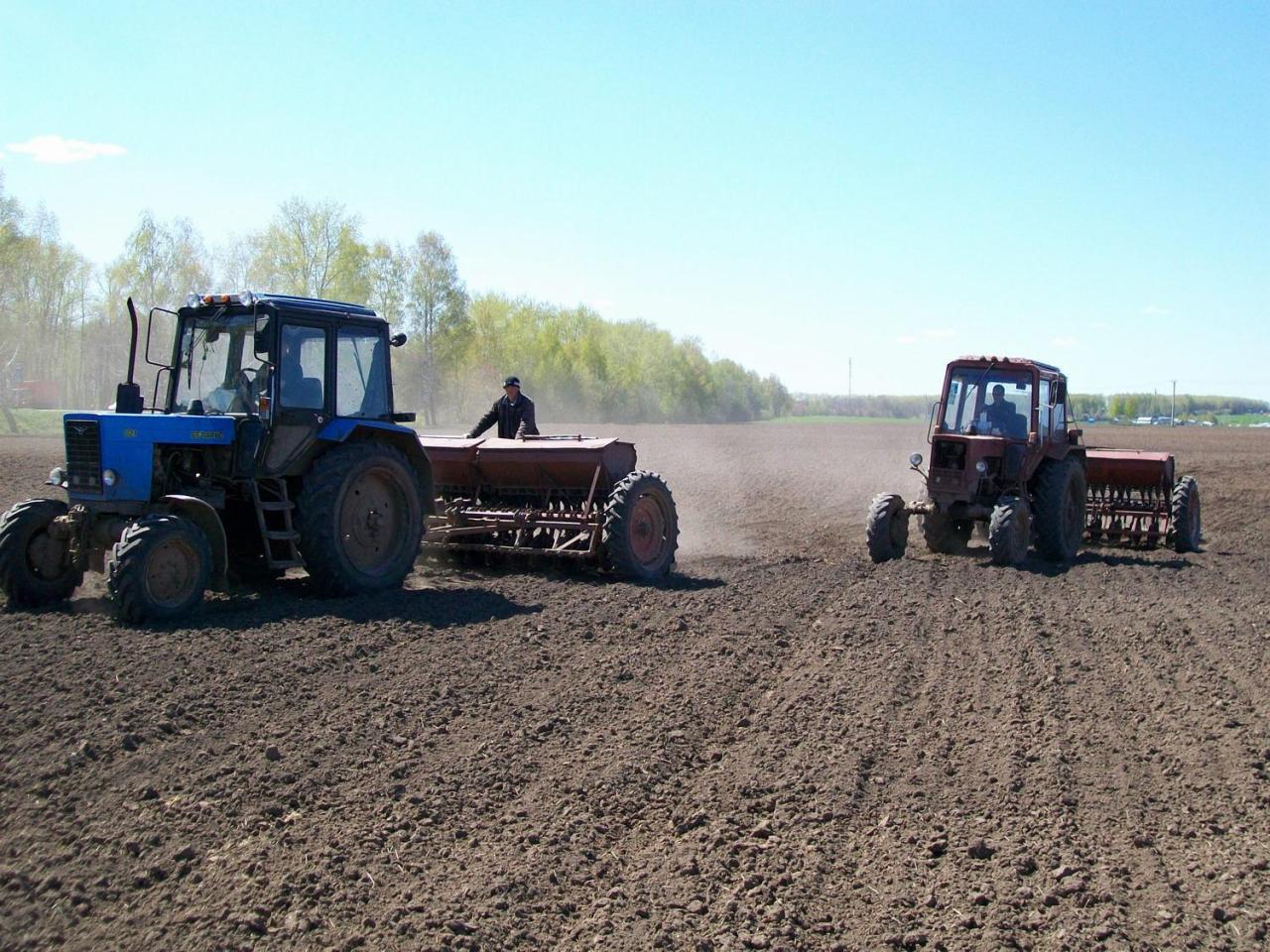 Huge number of agriculture projects to be realized in Uzbekistan