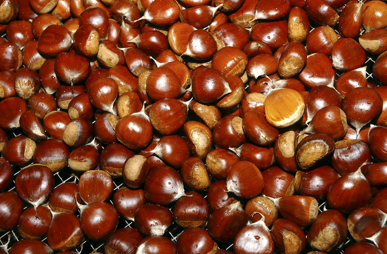 Azerbaijan to export chestnuts mainly to Russia and Turkmenistan