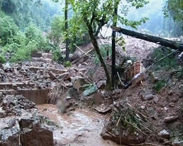 Cyclone 'Gaja' Makes Landfall In South India, Kills 11 People