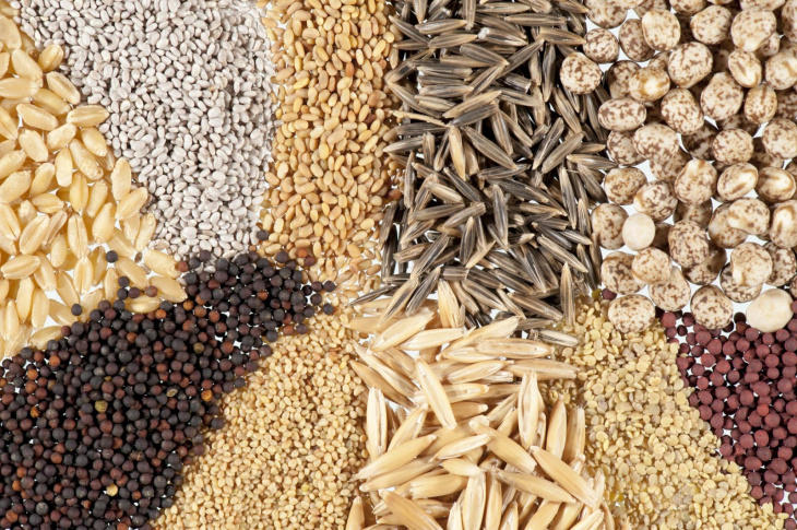 Uzbekistan creates seed clusters for first time