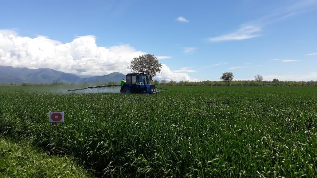 Azerbaijan's e-agriculture system to provide farmers with necessary services