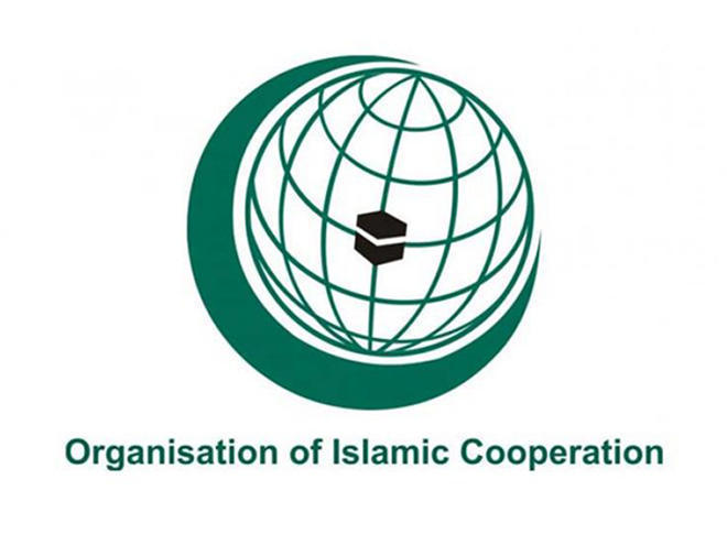 OIC supports Azerbaijan's fair position on Karabakh conflict