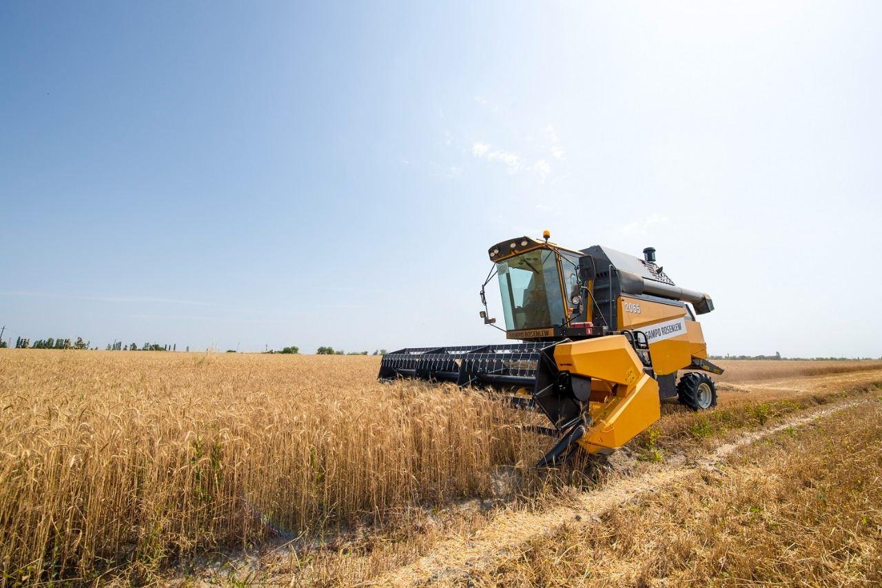 Grain harvest season begins in Azerbaijan [PHOTO]