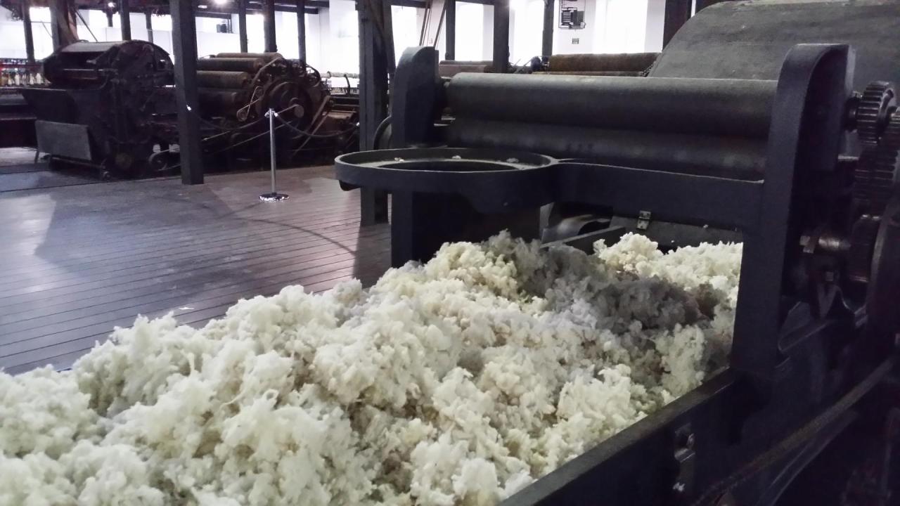 Azerbaijan, EU reach preliminary agreement on sheep wool export - Food Safety Agency