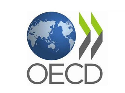 OECD eyes scaling up co-op with Azerbaijan on finding ways to improve SOEs