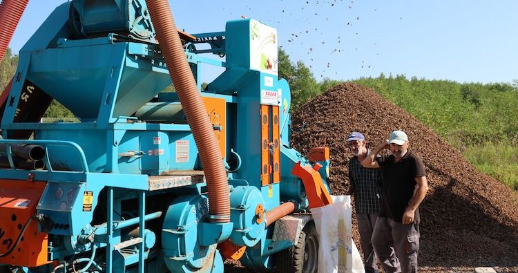 Georgian Agriculture Minister says “significantly higher” 2023 hazelnut harvest expected