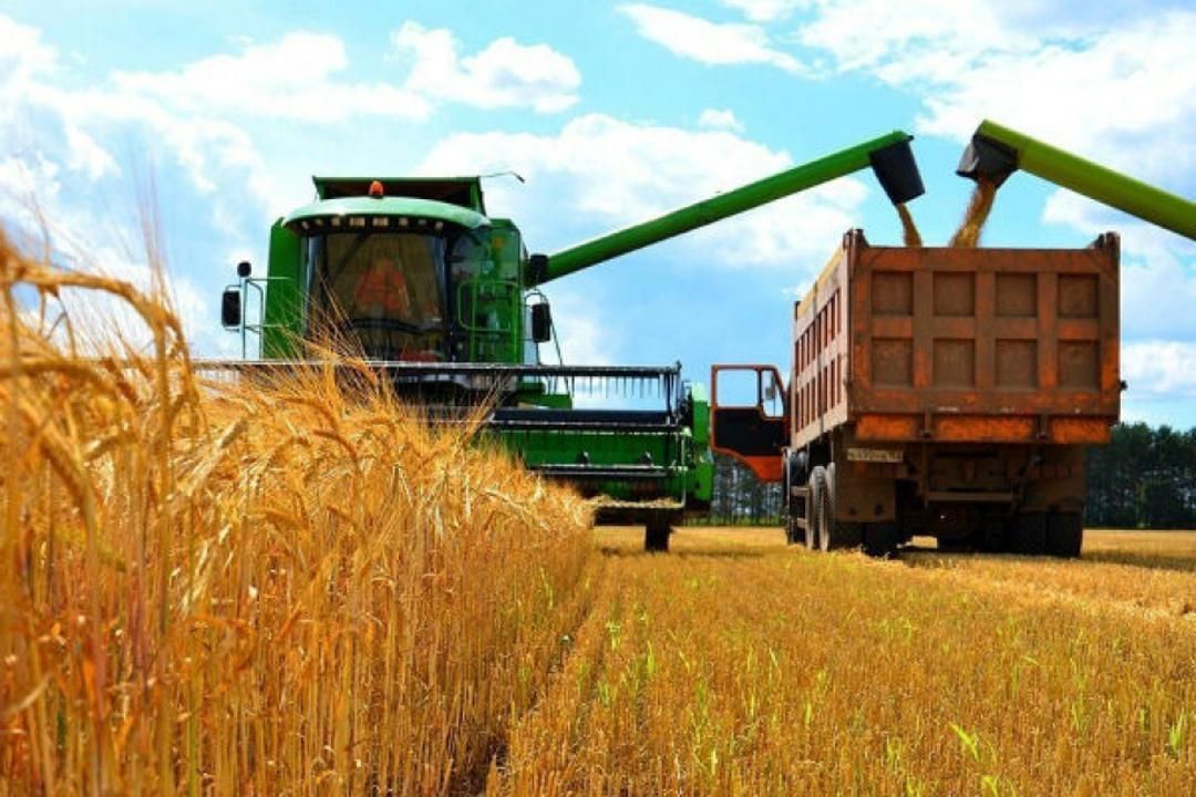 Russia introduces mechanism for national currency payments for agricultural export