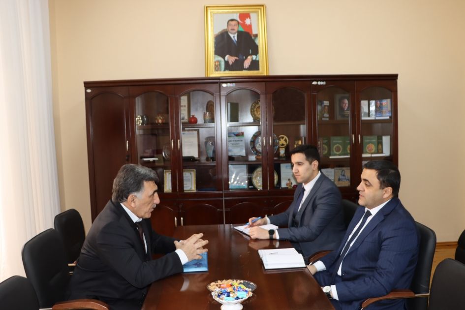 Azerbaijan, Uzbekistan discuss expanding coop in various fields [PHOTOS]