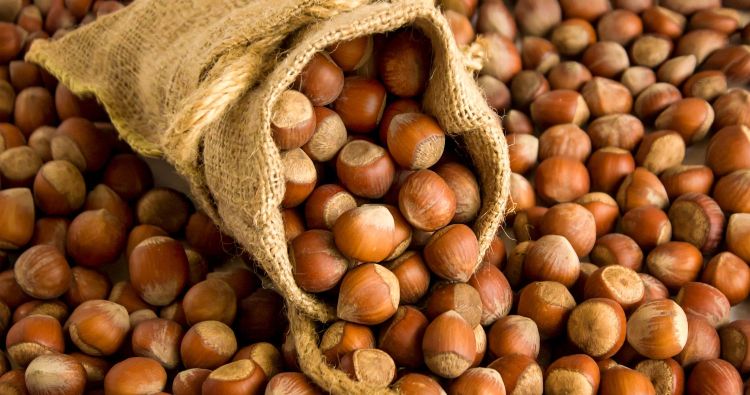National Food Agency cites European Commission’s “positive assessment” of aflatoxin control in Georgian hazelnuts