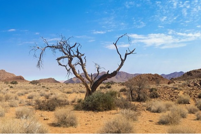 Some of Azerbaijan's territories are at high risk of severe drought