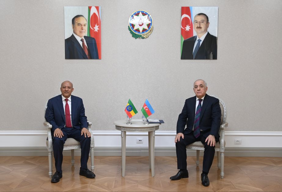 Azerbaijan's Premier meets with Ethiopian Deputy Prime Minister