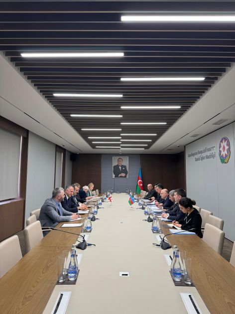 Azerbaijani, Georgian foreign ministries hold political consultations [PHOTOS]