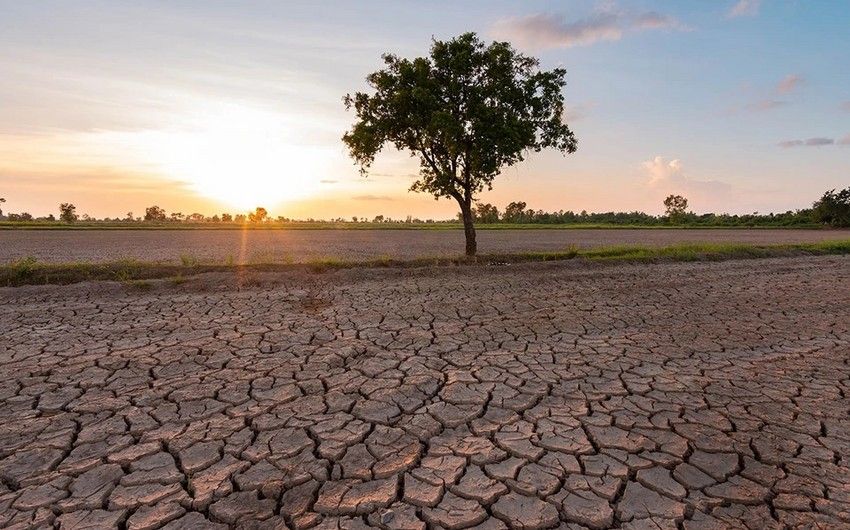 South African countries urged to raise $5.5 billion to fight drought