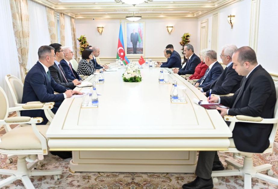 Speaker Gafarova meets with delegation of Grand National Assembly of Turkiye