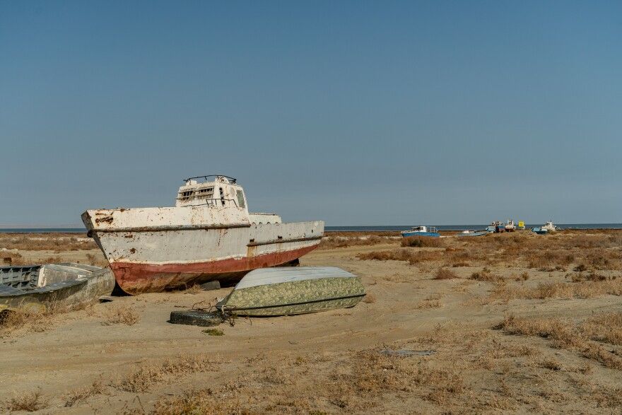 Kazakhstan proposes Aral Sea afforestation center