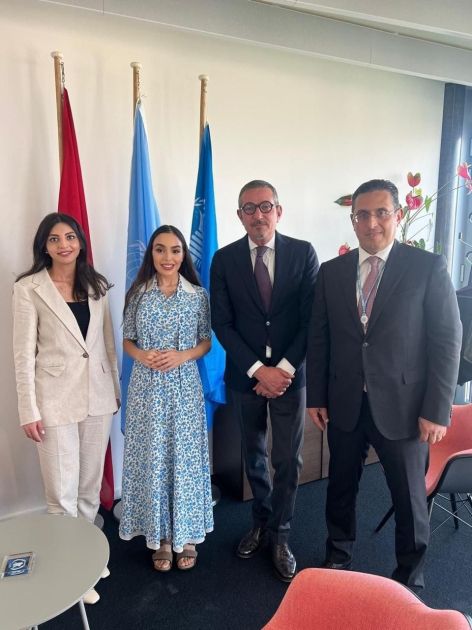 Leyla Aliyeva trifft sich mit UN-Beamten in der Schweiz [PHOTOS]