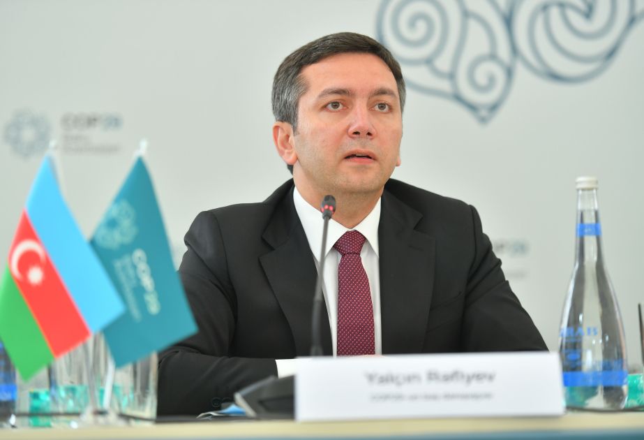 Azerbaijan aims to act and progress toward COP goals, Deputy Minister says
