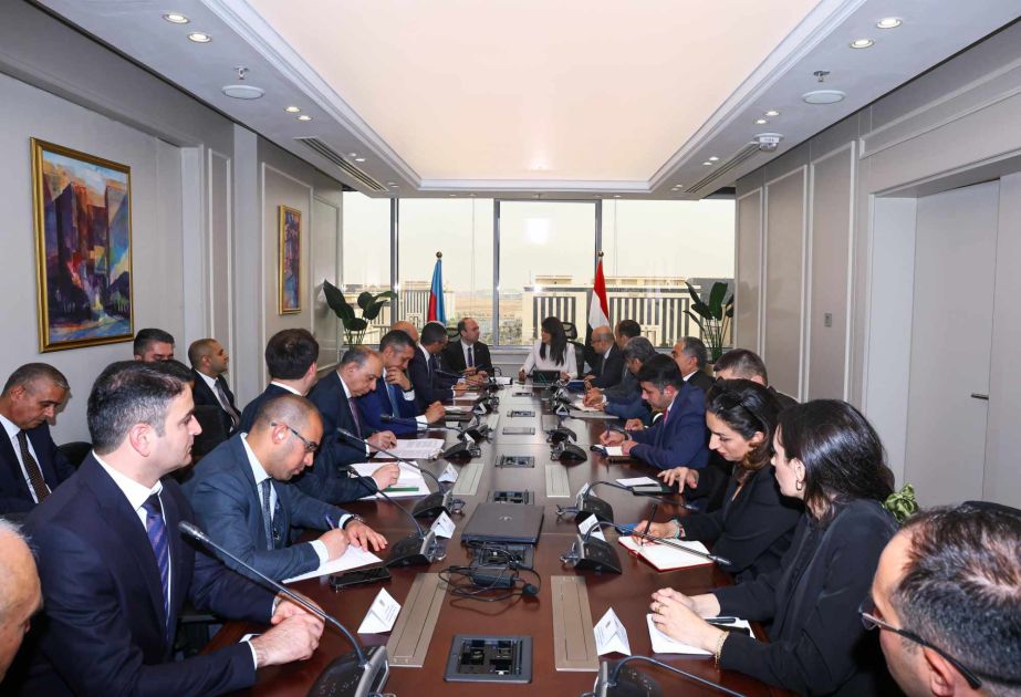 Azerbaijan, Egypt  discuss prospects of cooperation
