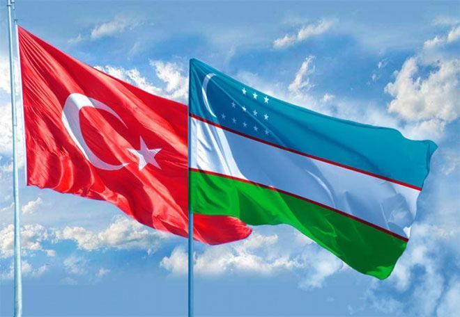 Uzbekistan and Turkiye discuss investment projects in the field of medicine