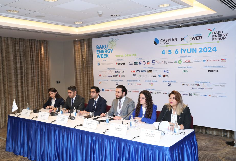 Baku Energy Forum introduces session titled "For Green World: COP29 Strategic Development Paths"