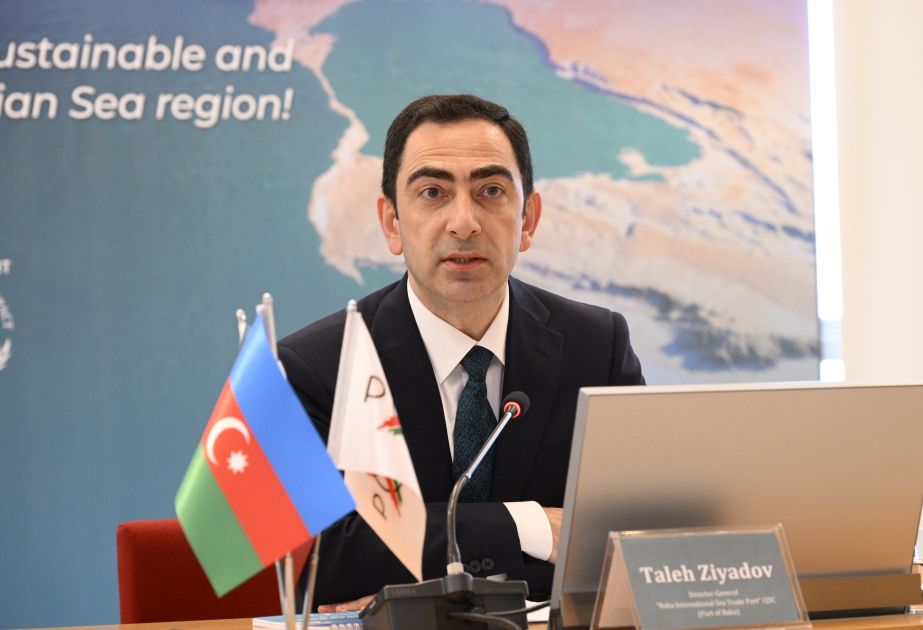 Collective action urged for Caspian region environmental protection, official says