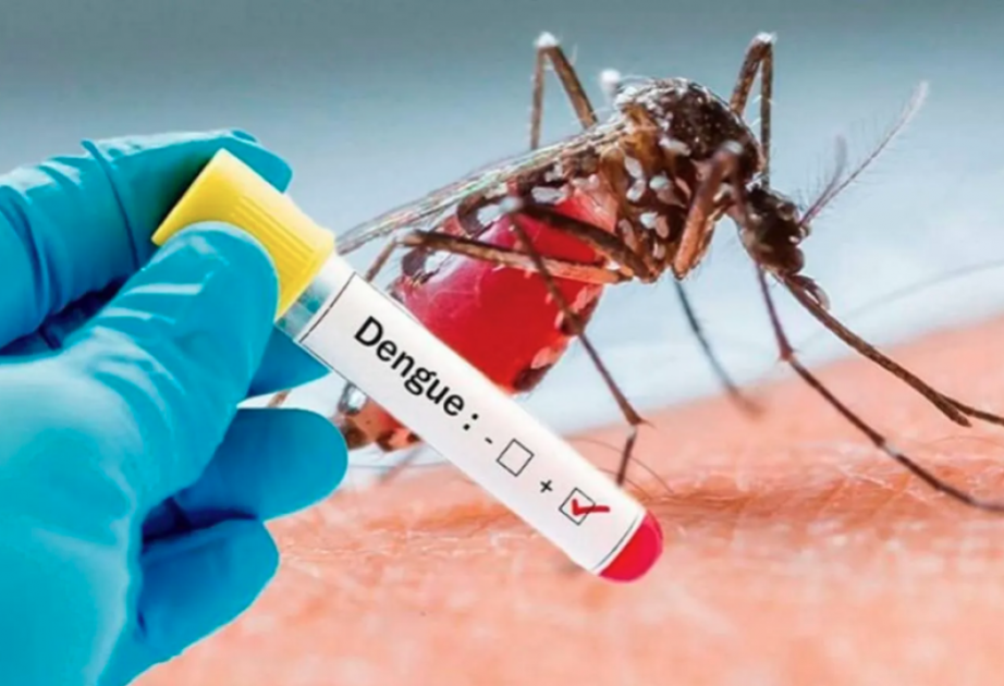 Argentina records over half a million dengue cases in 2024