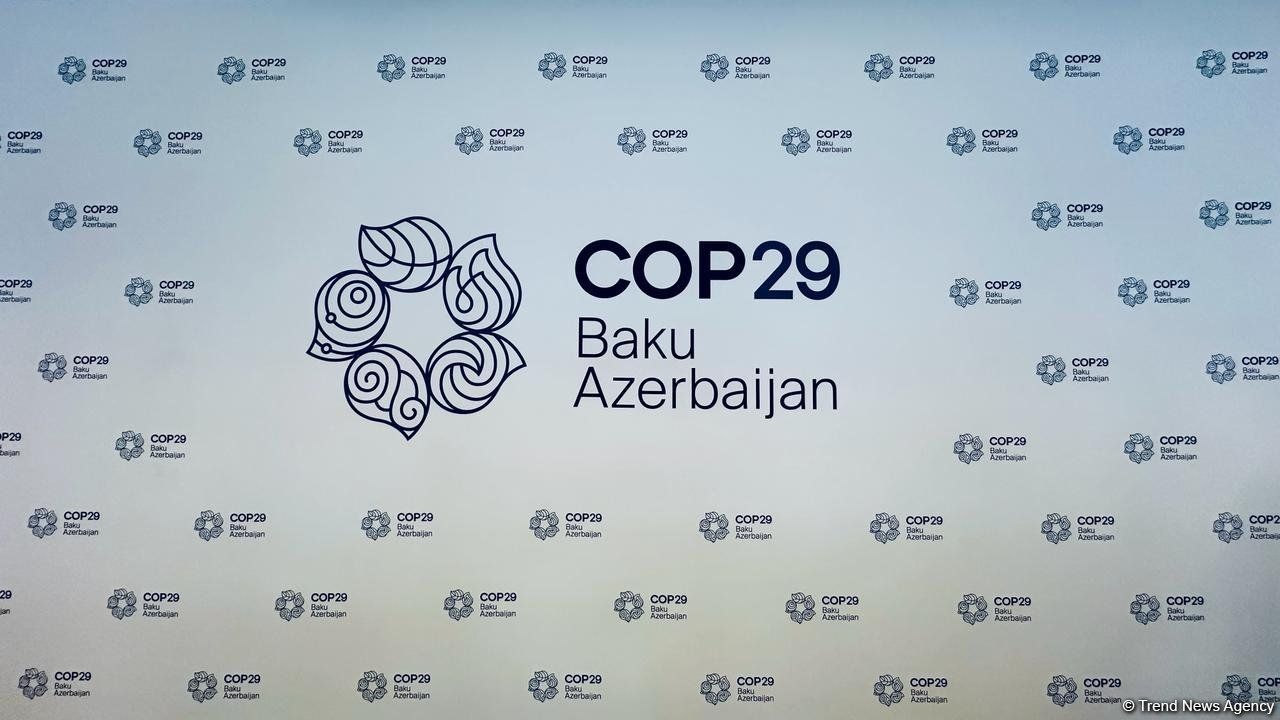 Azerbaijan to insure human health during COP29 presidency