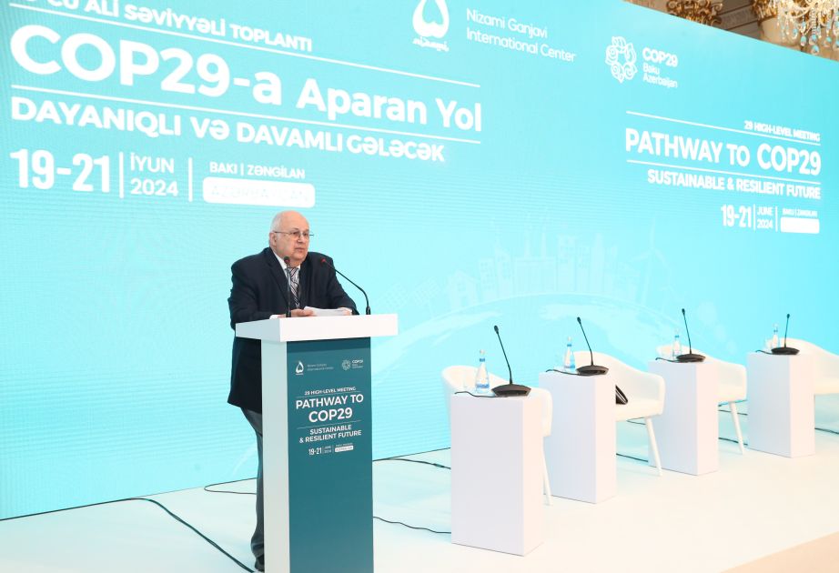 Co-chair of Nizami Ganjavi International Center: We are pleased that Azerbaijan will host COP 29