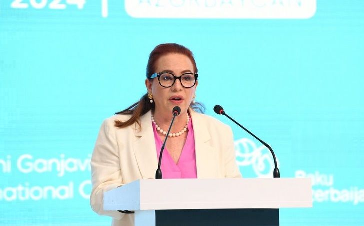 COP29 to strengthen confidence as part of success of Azerbaijan, UN Official says