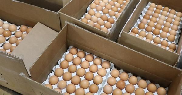 EU to restore quotas & duties on egg imports from Ukraine