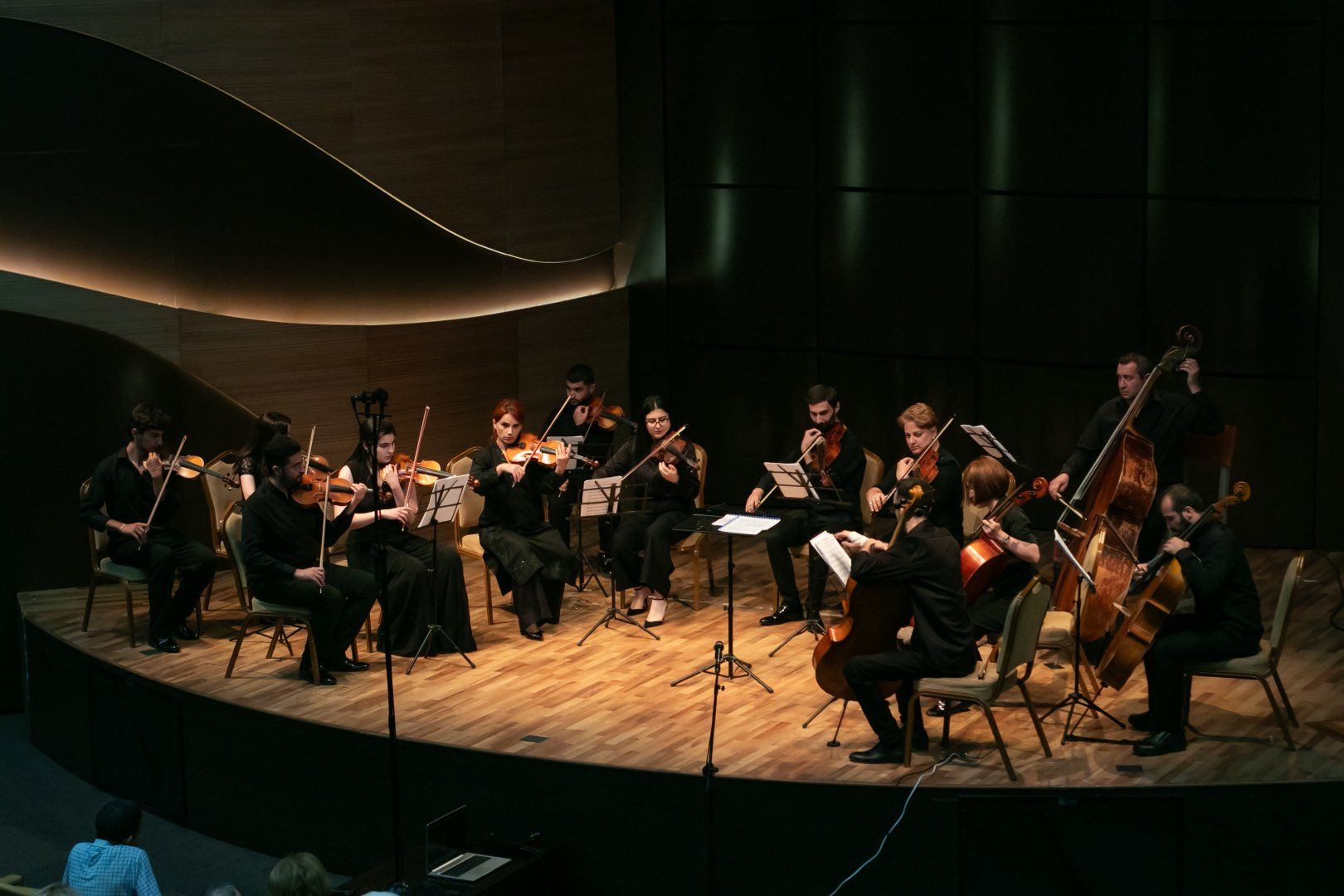Cadenza Orchestra stuns audience with music by renown composer [PHOTOS/VIDEO]