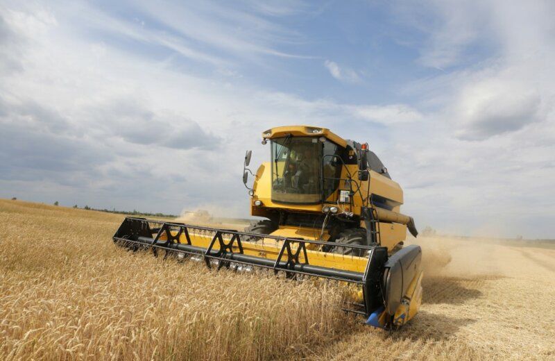 Grain harvesting to be completed in Azerbaijan's Shamkir