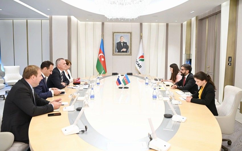 Azerbaijan's SOCAR and Slovenia's Geoplin sign MoU
