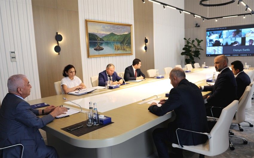 Azerbaijan, WB discusses financing of integration of "green energy"