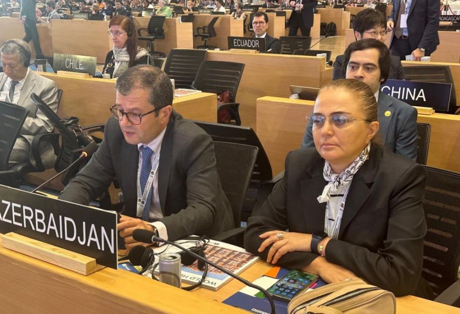 Azerbaijani delegation participates in UNESCO World Heritage Committee's session