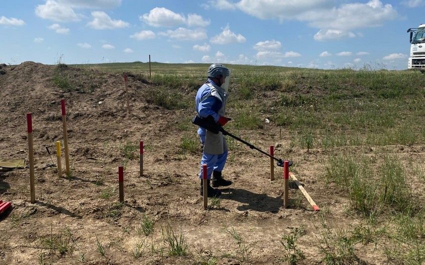 International travelers watch process of demining mines in Azerbaijan's Fuzuli