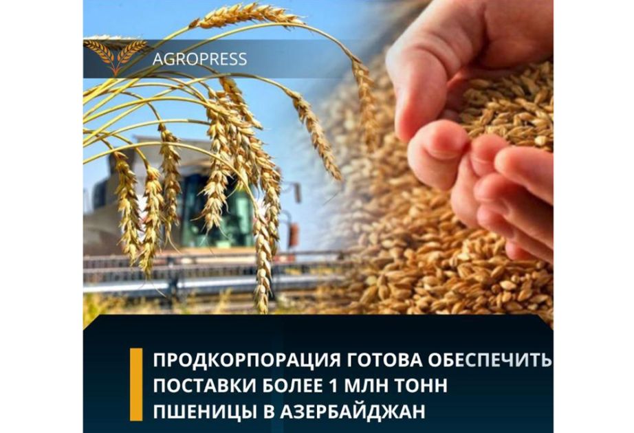 Kazakhstan's Food Contract Corporation set to supply Azerbaijan with 1 million tons of wheat