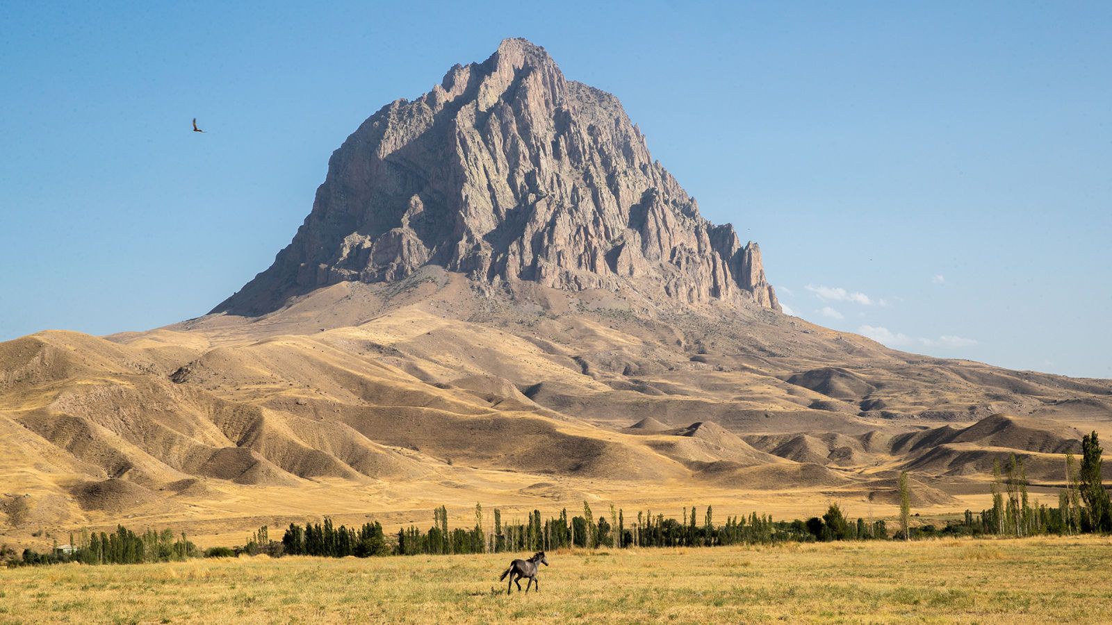 Global Environmental Fund supports project in Nakhchivan in partnership with UN agency [PHOTOS]