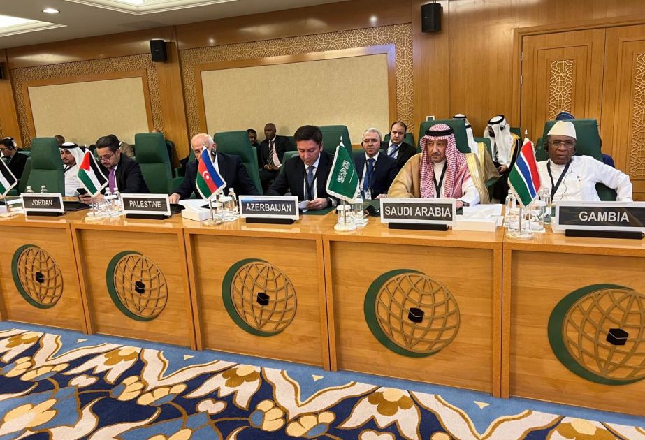 Azerbaijan’s Deputy FM participates OIC Executive Committee extraordinary meeting