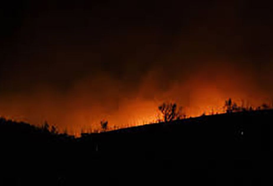 Greek wildfire spreads to edge of Athens; towns, hospitals evacuated