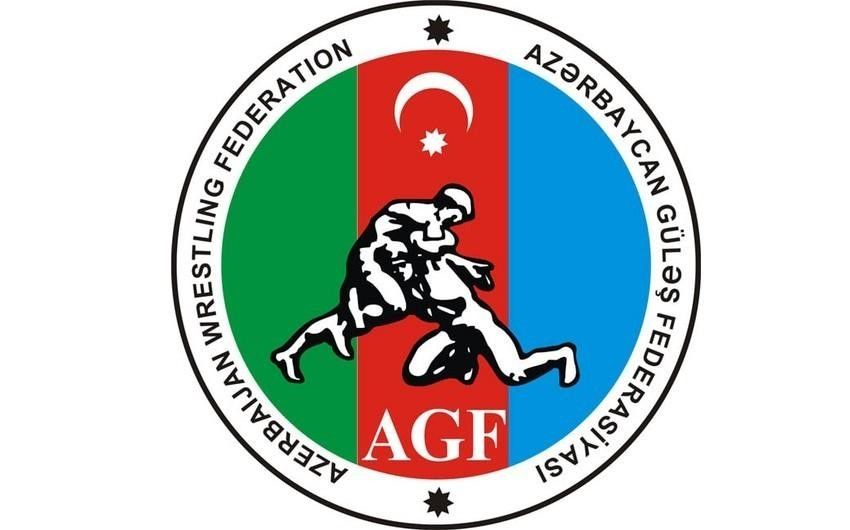 Azerbaijan's national wrestling team to participate in World Championship