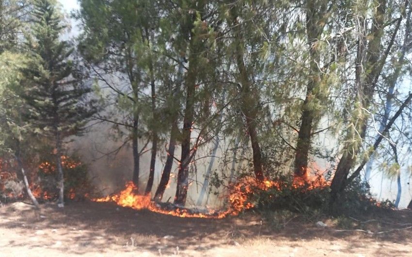 Nearly 4,000 residents evacuated from four provinces due to fires in Turkiye