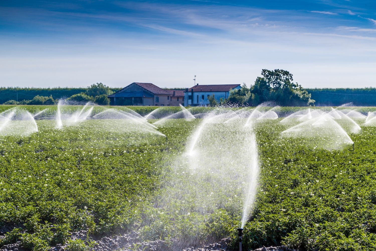 Azerbaijan expands innovative irrigation systems to combat climate challenges