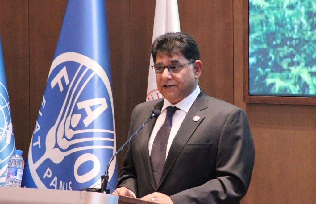 UN FAO's representative highlights Azerbaijan's key water management initiatives at COP29