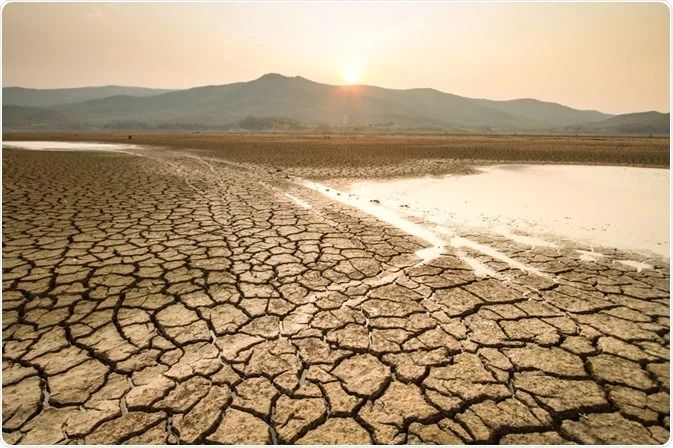 Severe drought affects 22% of Azerbaijan's land in 2023: Ministry says